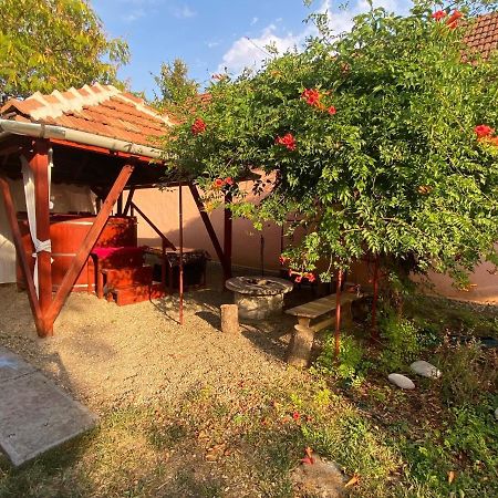 Árpád nyaralóház Sarud Exterior foto